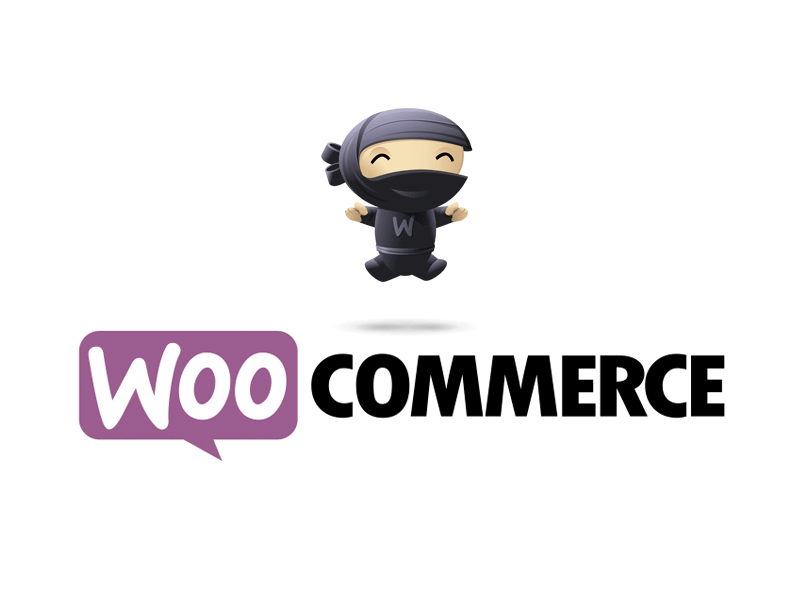 WooCommerce developer Singapore