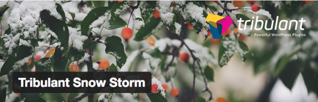 christmas wordpress plugin3