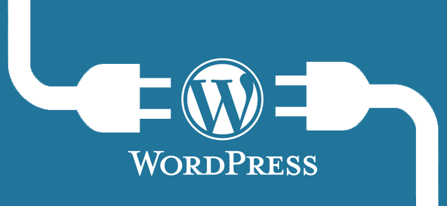 wordpress ecommerce themes web developer