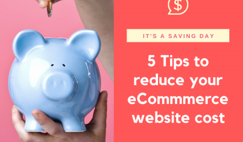 5 Ways to reduce your eCommerce website cost in Singapore