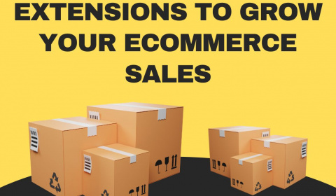 8 Useful OpenCart Extensions That Your Developer Can Use To Grow Your Sales